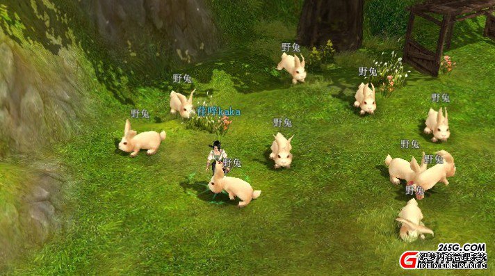 完整度待提高 真3D《变态热血虎卫私服》评测报告